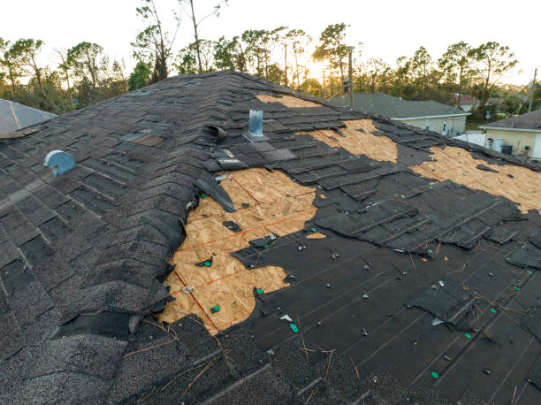 Best Rubber Roofing (EPDM, TPO)  in Brownsville, LA
