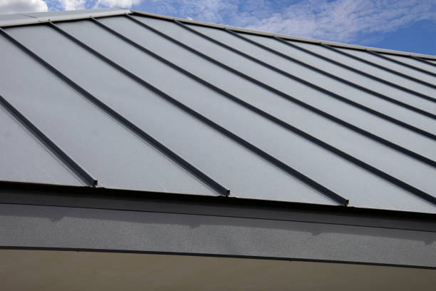 Best Roof Moss and Algae Removal  in Brownsville, LA
